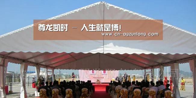 案例标题三