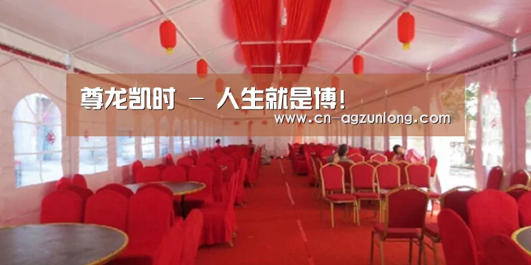 案例标题四