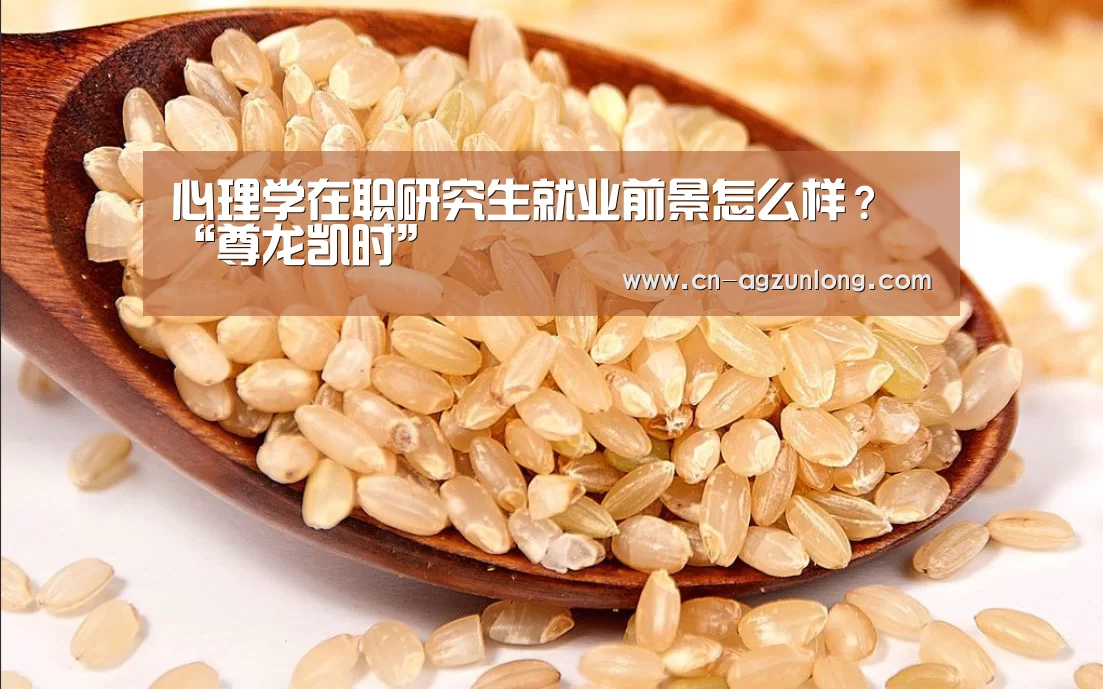 心理学在职研究生就业前景怎么样?“尊龙凯时”(图2) 尊龙凯时