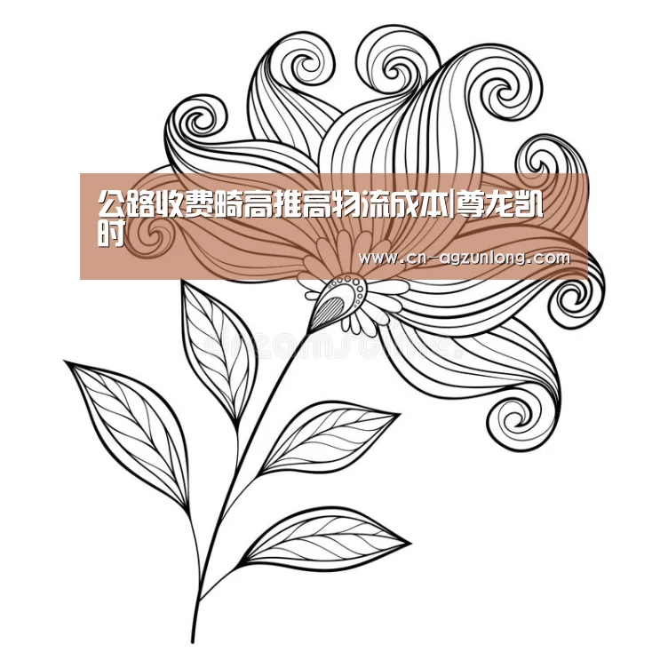 公路收费畸高推高物流成本|尊龙凯时(图2) 尊龙凯时